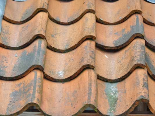 Tonen Aan het leren Belang Kempische Bouwmaterialen - Oude Boomse dakpannen